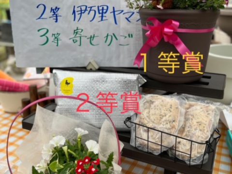 百姓屋恒例イベント「ハウス開放」を開催しています。