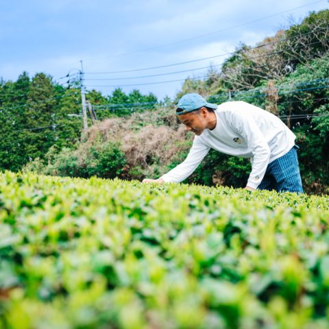 茶に幸せを込めて「松永緑茶園」外観とか
