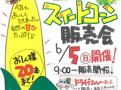 今年もドライブスルーで開催！スイートコーン販売会🌽