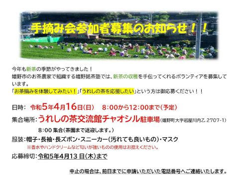 🍃🍵手摘み会参加者募集のお知らせ！