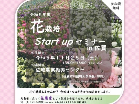 🌼花栽培Start upセミナーを開催します！🌼