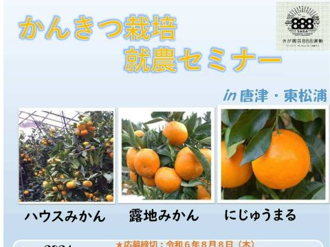 「かんきつ栽培就農セミナーin唐津・東松浦」参加者を募集します🍊