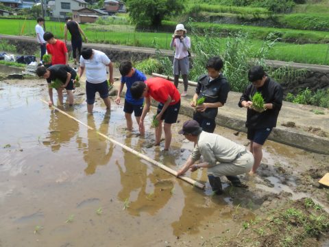 玄海町仮屋の棚田で田植えを行いました!