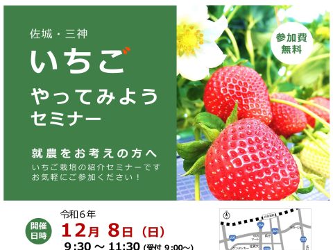 佐城・三神いちごやってみようセミナー🍓