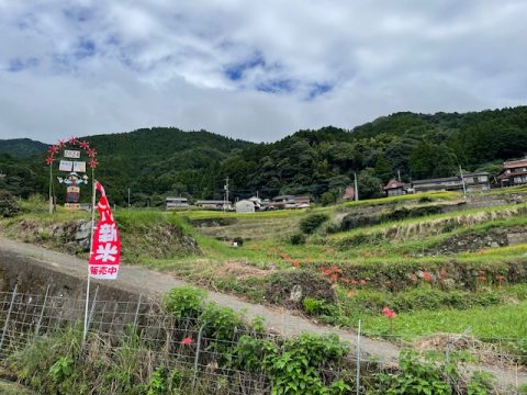 令和６年　江里山ひがん花まつり