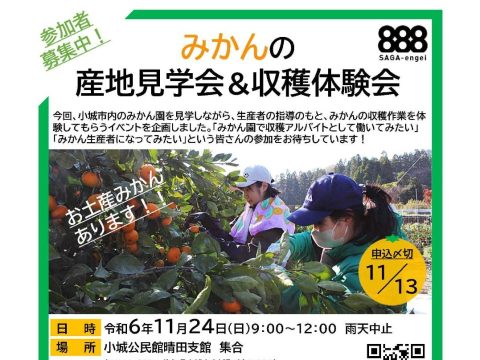 みかんの産地見学会＆収穫体験会を開催します！🍊