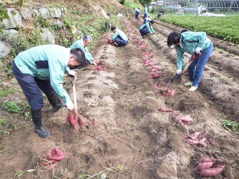 松尾建設「農業支援隊」第1段🧑🌾✨