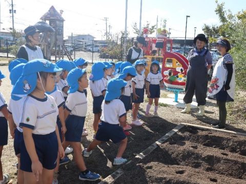 大根の種まき体験