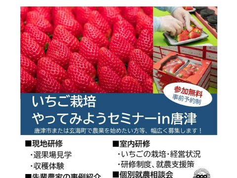 令和６年度 「いちご栽培やってみようセミナーin 唐津🍓」