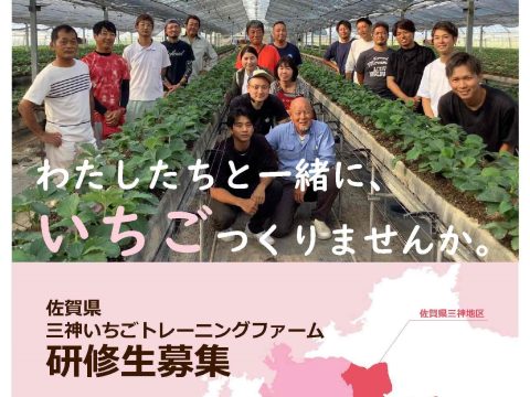 「三神地区いちごトレーニングファーム」３期生を募集します🍓