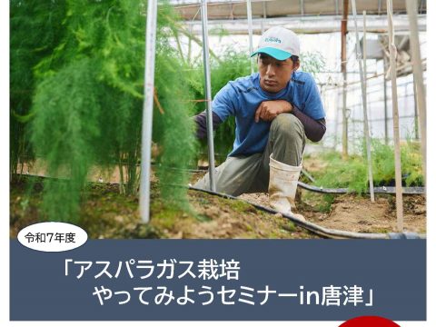 「アスパラガス栽培やってみようセミナーin唐津」参加者募集！