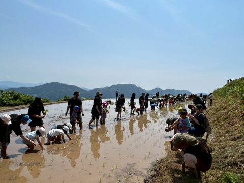 有田町岳の棚田で親子田植え体験