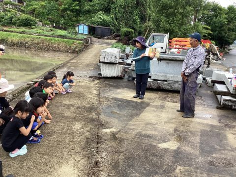 田植え体験をしました!