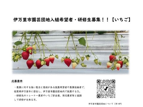 伊万里市園芸団地入植希望者・研修生募集！！
