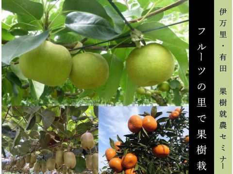 フルーツの里で果樹栽培始めませんか!
