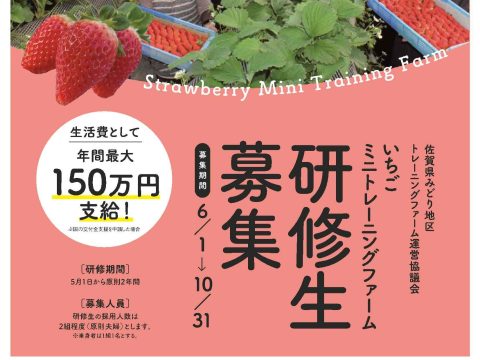 【締切間近！】「いちごミニトレーニングファーム🍓」「とまとトレーニングファーム🍅」の研修生を募集しています！