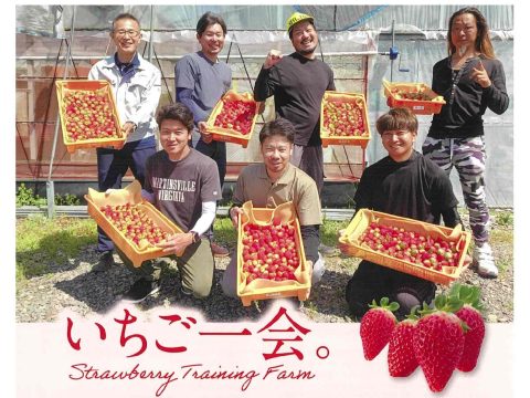 「いちごトレーニングファーム」の第8期研修生を募集しています🍓