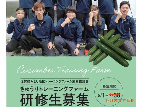 きゅうりトレーニングファーム研修生募集🥒