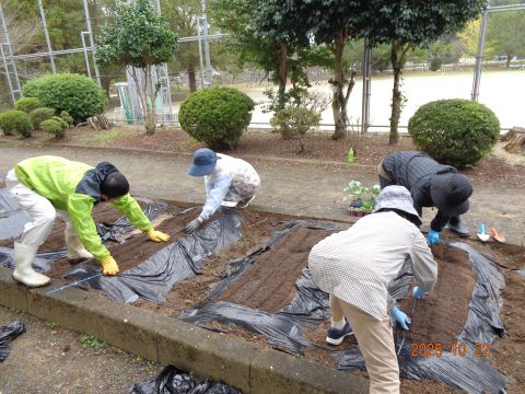 R7 五町田小学校1・2年生 冬野菜の苗植えと種まきをしました!