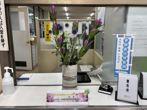 花き消費拡大応援🌺花は香りや彩りの美しさで癒してくれます