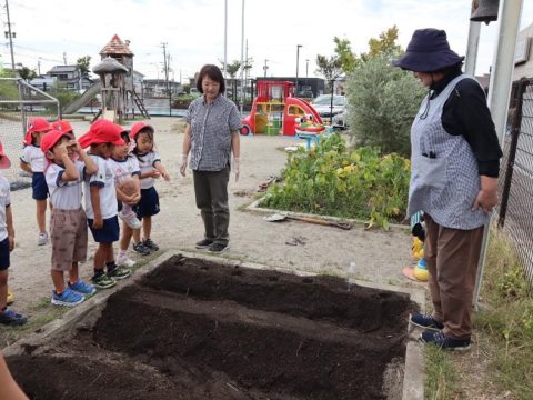 大根&人参の種まき!