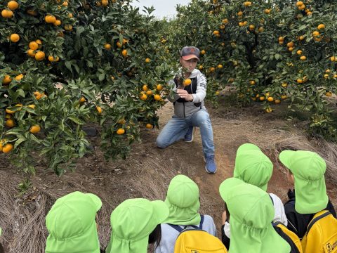 みかん狩り体験へ Let’s Go~!!