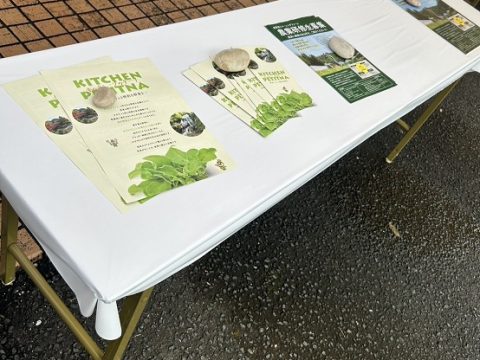 プッチーナのチラシをリニューアルしました！