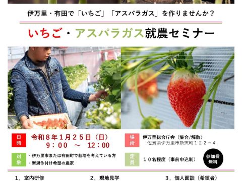 伊万里・有田で「いちご」「アスパラガス」を作りませんか？