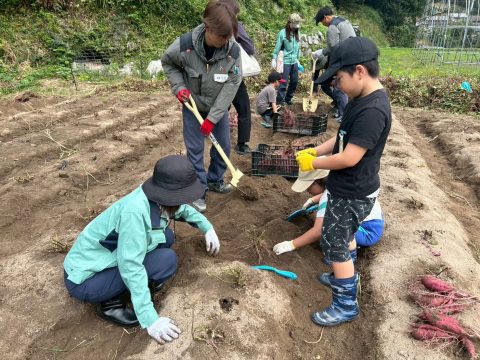 松尾建設「農業支援隊」第２段🧑🌾🍓🧅🌽🍊