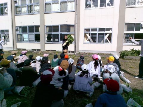 令和7年度北方小学校 「ふるさと先生 大根収穫」