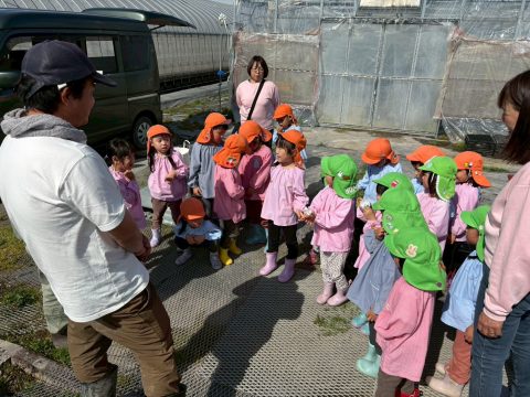 いちご狩り体験をしました🍓