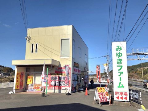 みゆきファームのいちごミニパフェ🍓