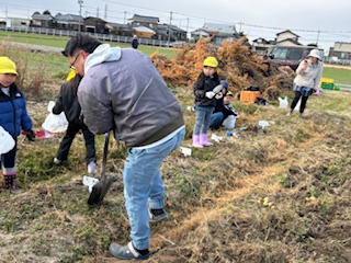 じゃがいも掘り体験